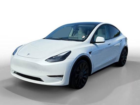 TESLA MODEL Y 2023 7SAYGDEF4PF766296 image